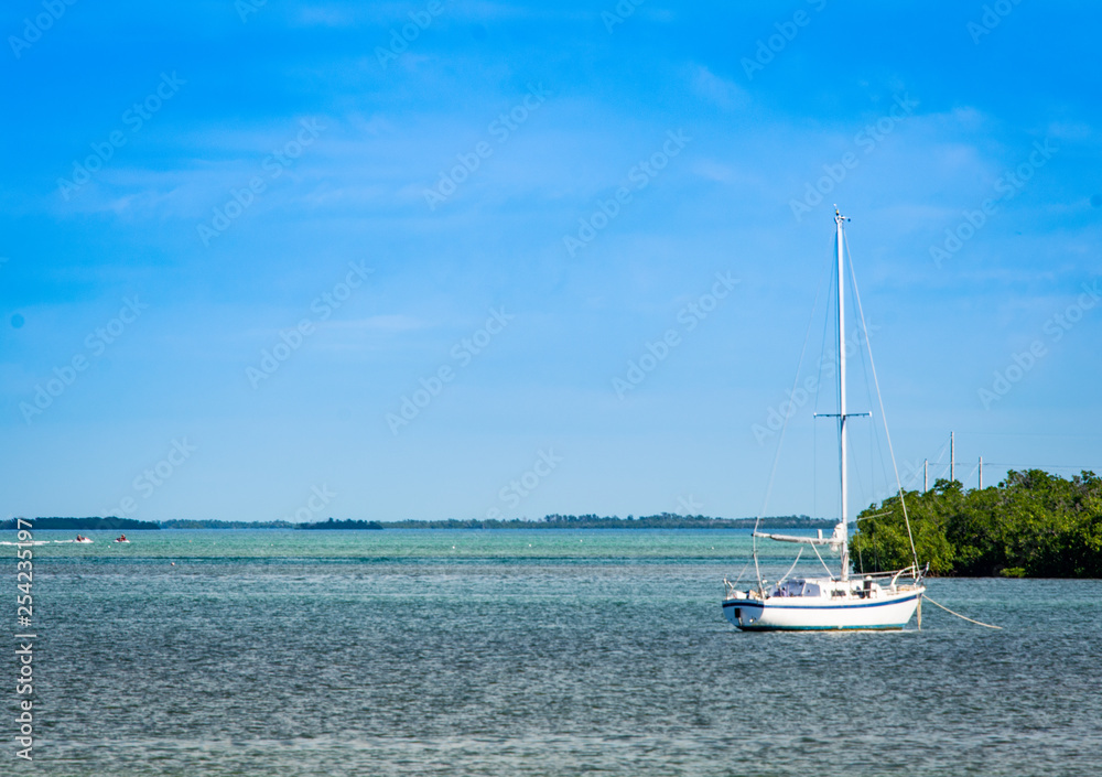 Small white sailboat anchored in the Florida Keys surrounded by mangrove trees. 