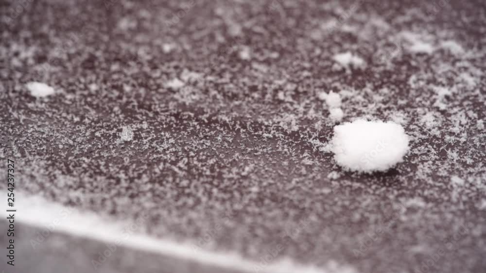 Snowy Day in New Jersey Suburbs.