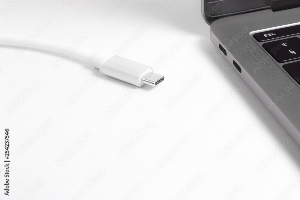 Fototapeta premium Type-C cable and Laptop with type-c ports