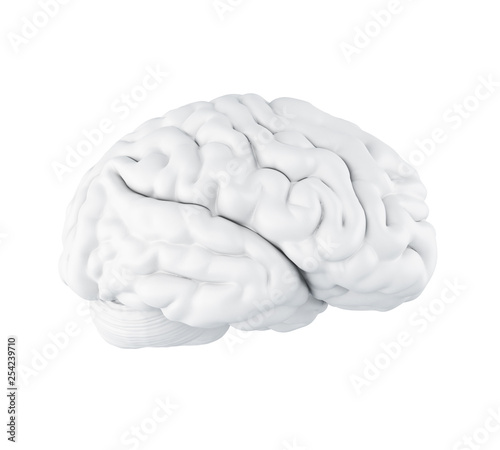 3d Human brain.