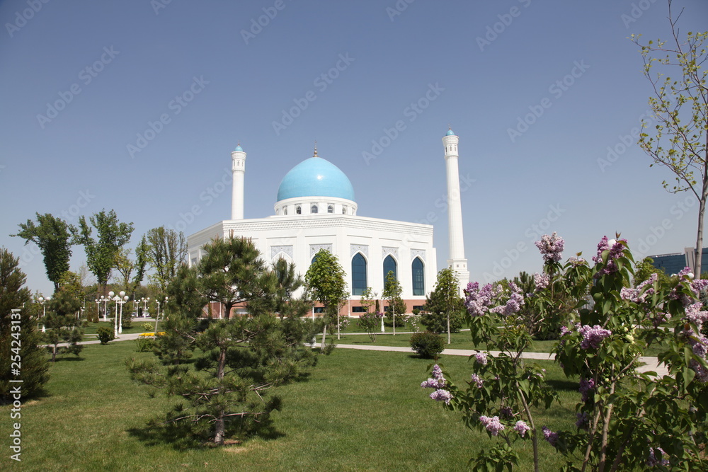 Obraz premium White mosque in Tashkent in Uzbekistan