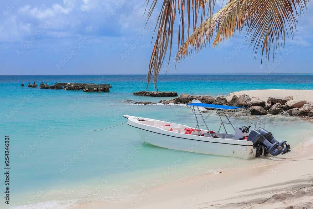 Luxury Beaches of the Paradise Island, Dominicana