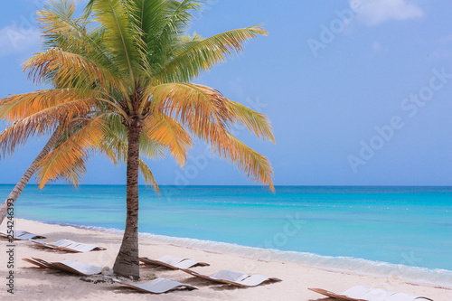 Luxury Beaches of the Paradise Island, Dominicana © Dave