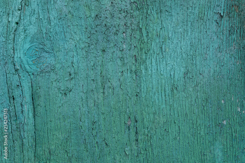 old green painted wood texture background texture