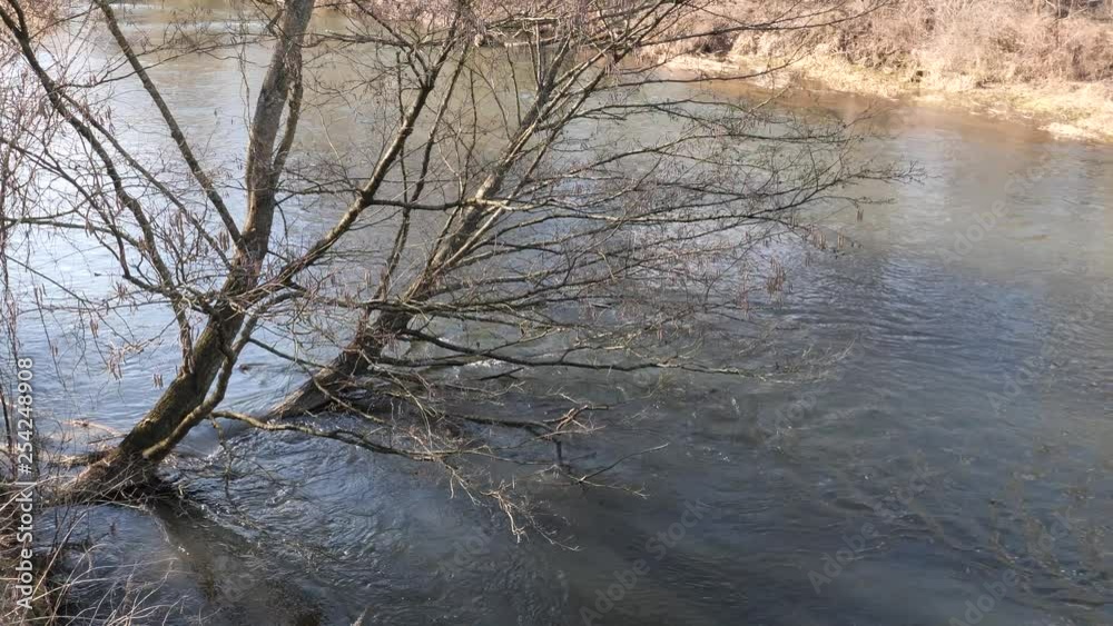 the beginning of spring. wild fast river among the thickets the beginning of spring. wild fast river among the thickets