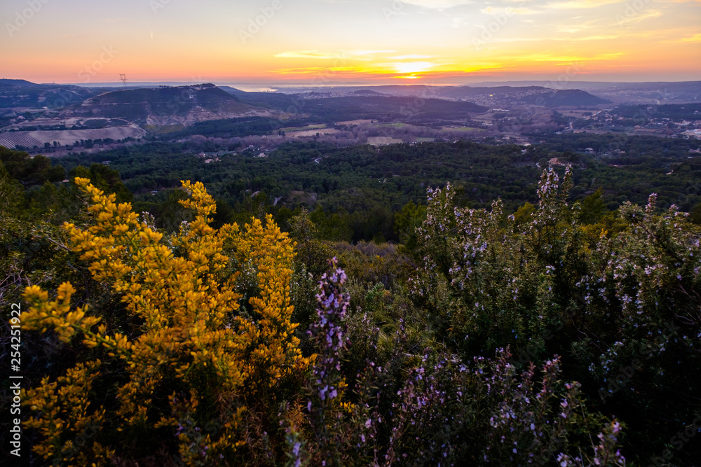 Vue panoramique depuis le sommet du village Ventabren, fleurs de genêt et romarin au premier plan. Provence, France.