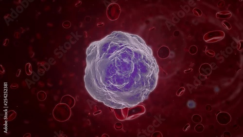 A white blood cell (leukocyte) in a blood stream with erythrocytes and blood platelets. Leukocytes are major contributors to our immune systems and health. photo