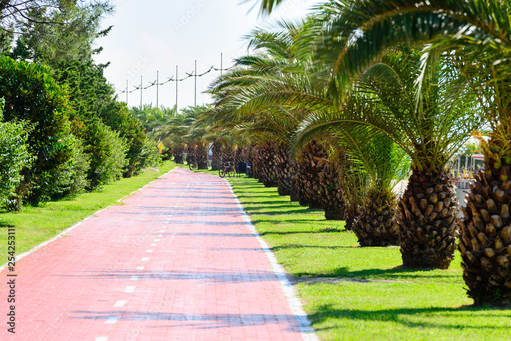 Batumi seafront boulevard