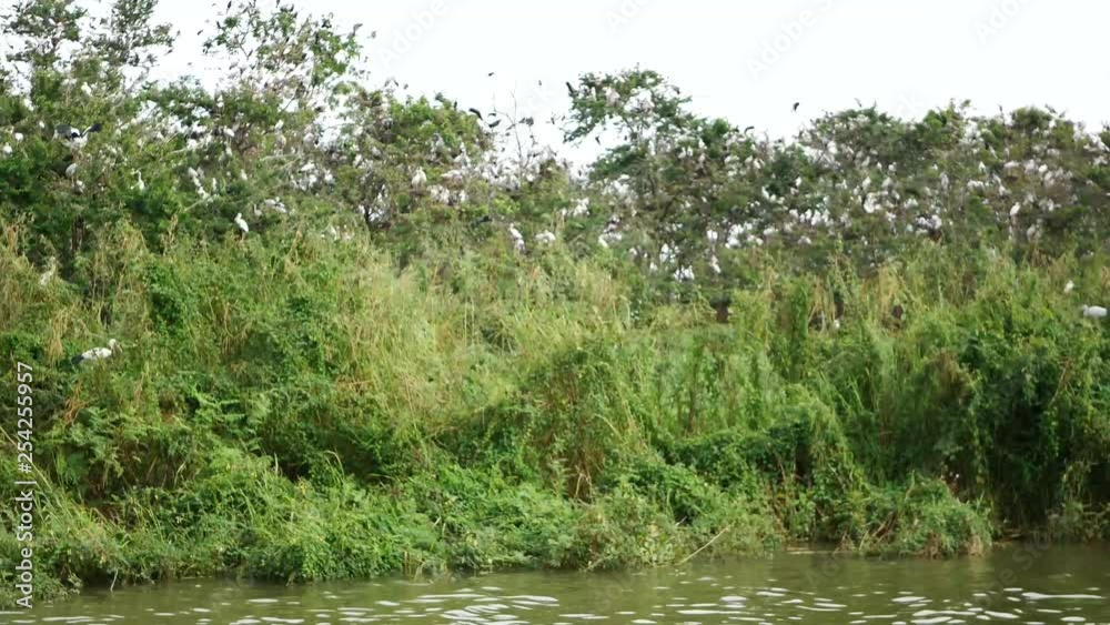 Traveling along the lake with scenery of small natural island and flying waterbirds in Asia Traveling along the lake with scenery of small natural island and flying waterbirds in Asia