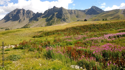 Col de Vars, Hautes Alpes