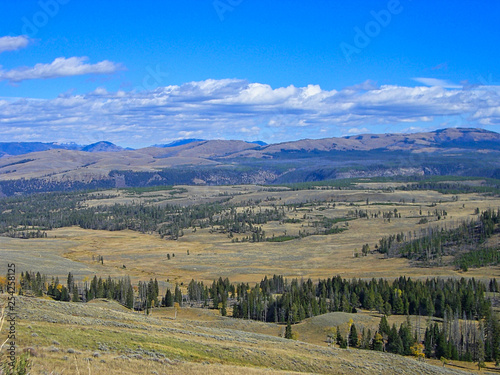 view to mountains and forest