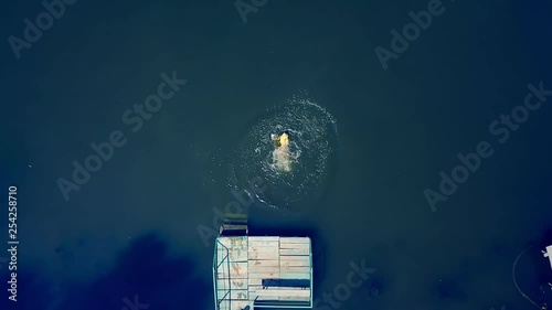 Close-up of a little kid jumping into the water from the old wooden bridge. Young boy in yellow vest dives into the river in summer. Motion camera bottom up