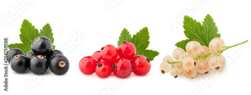 Fototapeta Naklejka Na Ścianę i Meble -  Black, red and white currant isolated on white background, clipping path, full depth of field