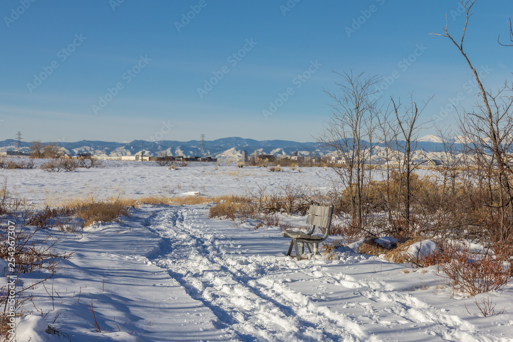 Bench next to snowy path, Rocky Mountain Arsenal, National Wildlife Refuge, Colorado, USA.
