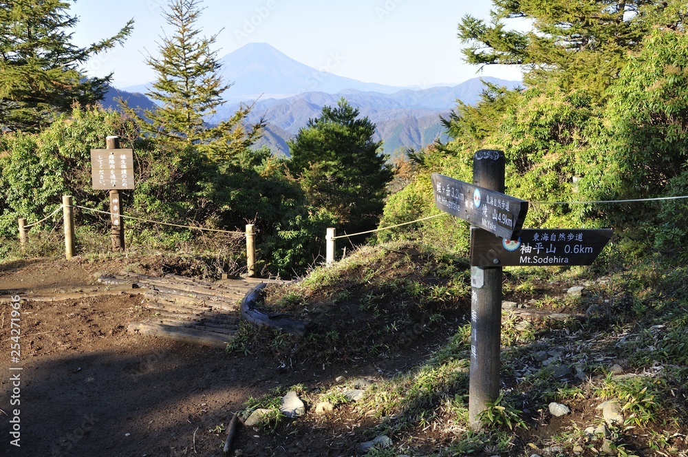 東海自然歩道の姫次より富士山を眺める