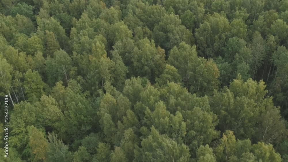 Aerial flying back over summer forest on a cloudy day Aerial flying back over summer forest on a cloudy day