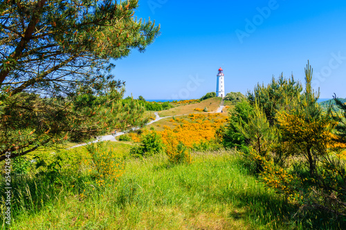 Dornbusch lighthouse in spring landscape with flowers on northern coast of Hiddensee island, Baltic Sea, Germany