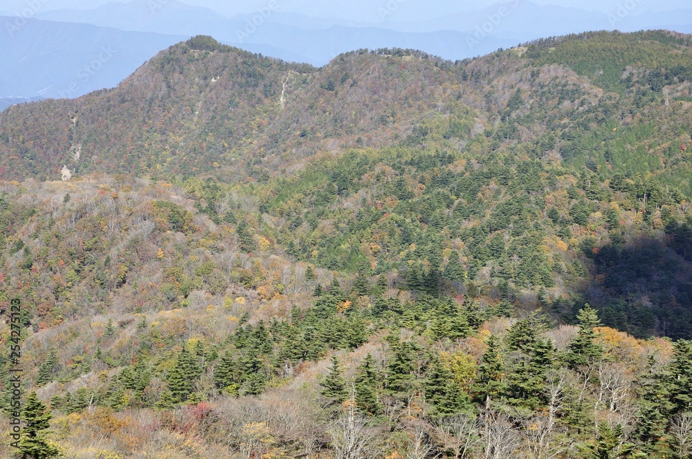 紅葉の北丹沢 紅葉の北丹沢