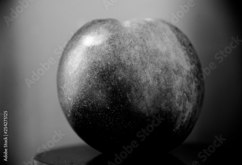 Artistic photo of an apple in black and white