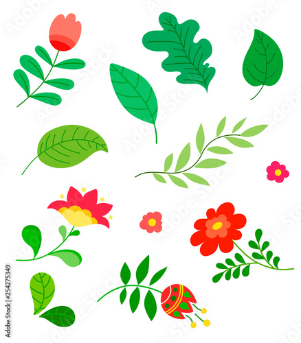 Set of elements  flowers  leaves  flat design   hand drawing  vector illustration