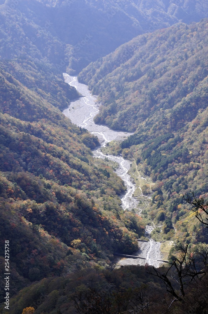 紅葉の玄倉川