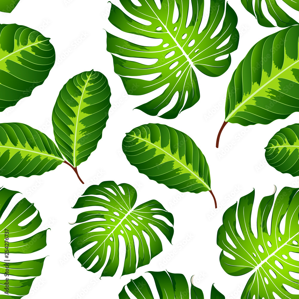 Seamless tropical pattern with green leaves calathea. Seamless tropical pattern with green leaves calathea.