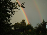 Rainbow over the trees in the garden.