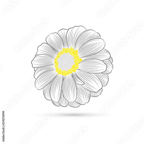 Abstract hand-drawn monochrome camomile flowers.