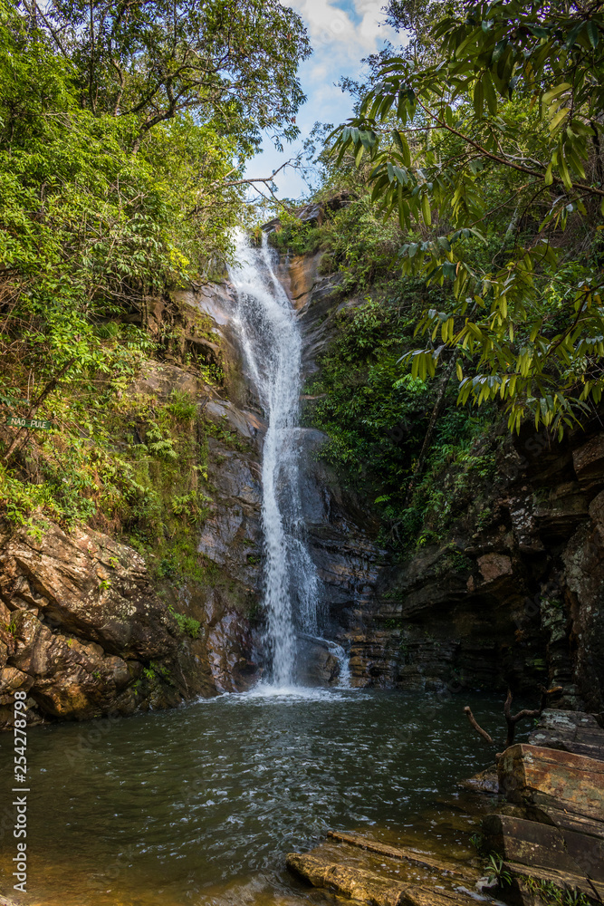 Fototapeta premium wodospad w lesie