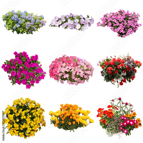 花の切り抜き素材 Stock Photo Adobe Stock