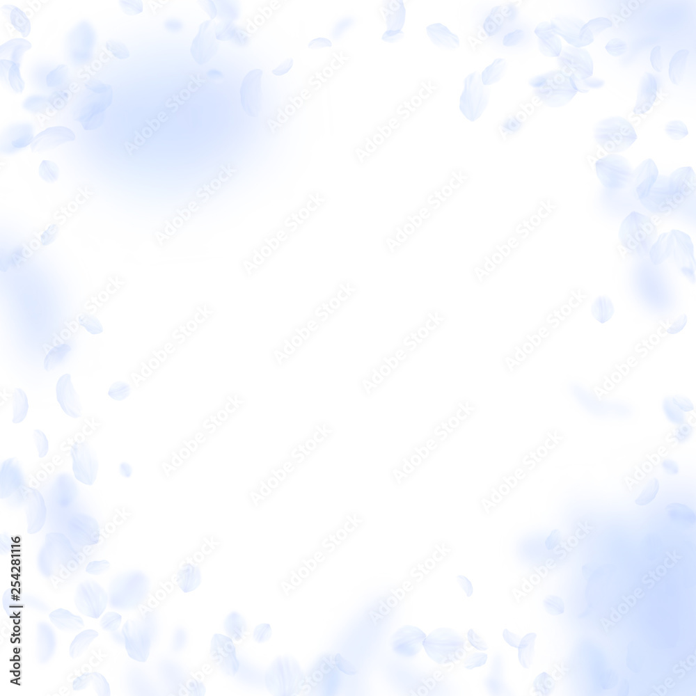 Light blue flower petals falling down. Marvelous r Light blue flower petals falling down. Marvelous r