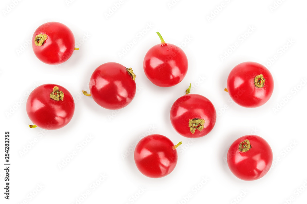 Red currant berry isolated on white background. Top view. Flat lay pattern Red currant berry isolated on white background. Top view. Flat lay pattern