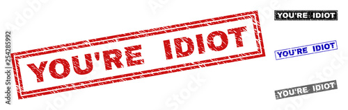 Grunge YOU'RE IDIOT rectangle stamp seals isolated on a white background. Rectangular seals with grunge texture in red, blue, black and grey colors.