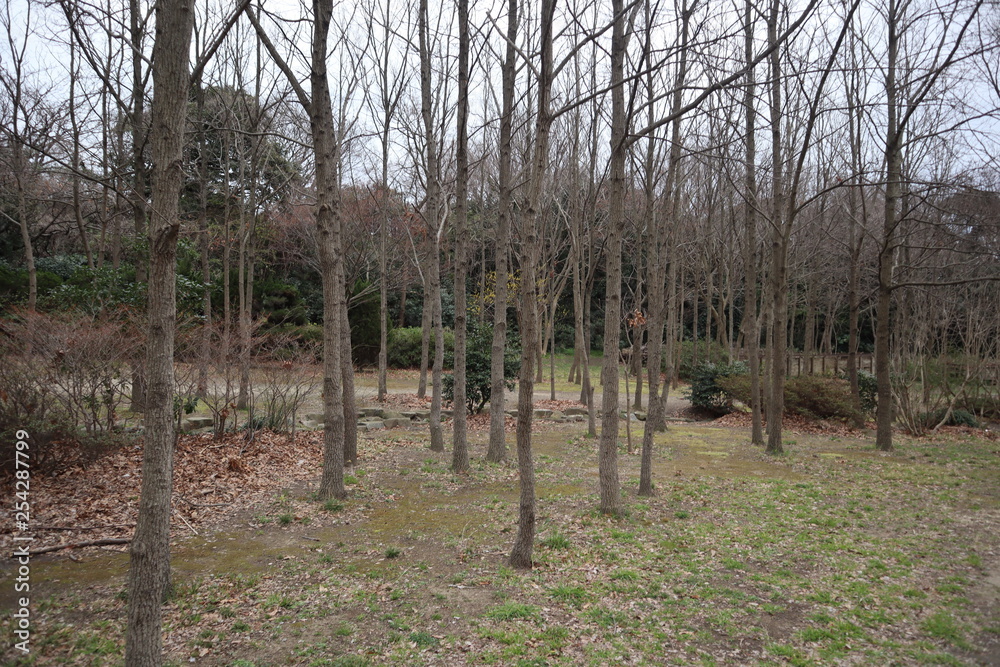 Kannonzaki Park Kannonzaki Park
