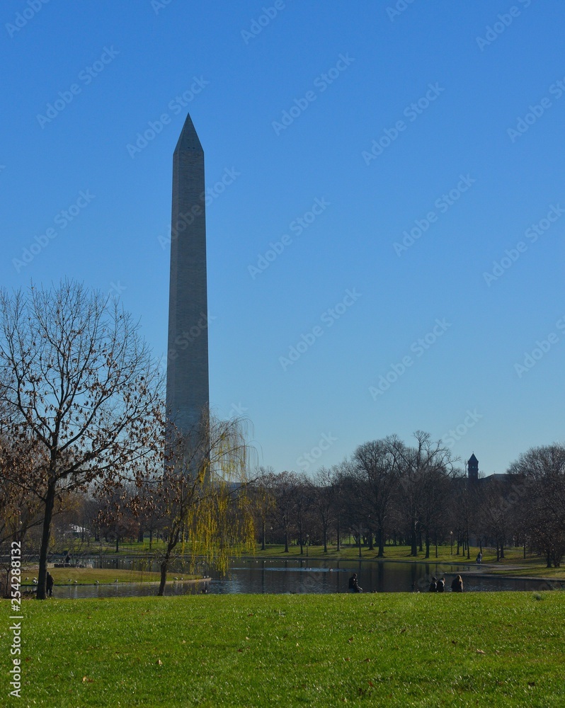 Fototapeta premium monument in washington dc