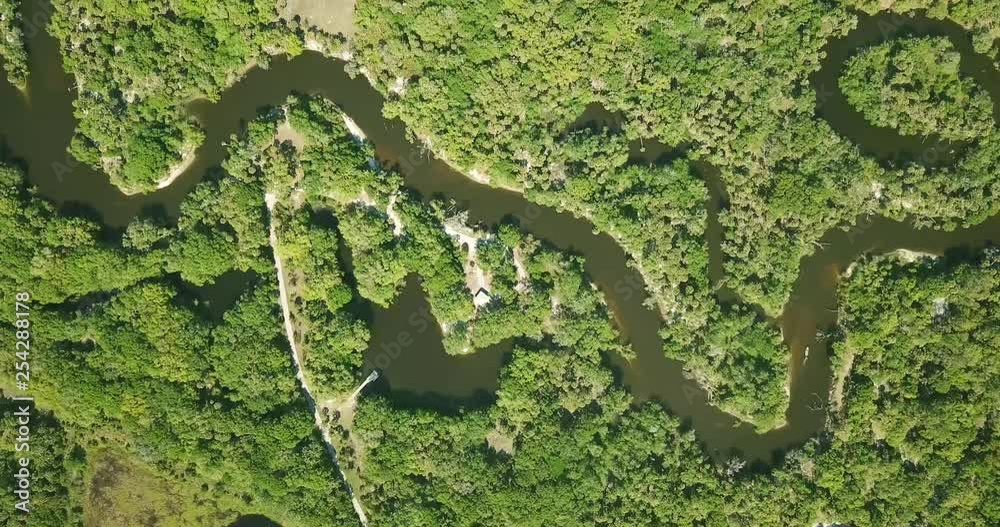 4K of Slow spiral fall downward toward River surrounded by trees. Which has a snake curve surrounded with a lush green forest as it cuts through the swamp. It has a look like the everglades.