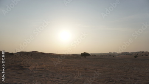 sunset on the desert