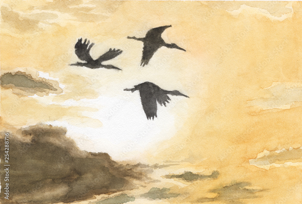 Obraz Watercolor painting - The cranes are flying