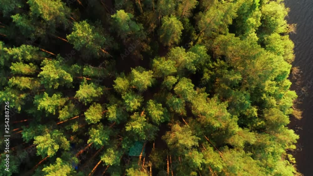 Beautiful morning green forest. View from the top of the trees, tents, cars. Beautiful morning green forest. View from the top of the trees, tents, cars.