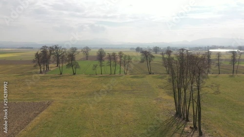 Wallpaper Mural Low aerial push in shot flying over rich European farmland. Torontodigital.ca