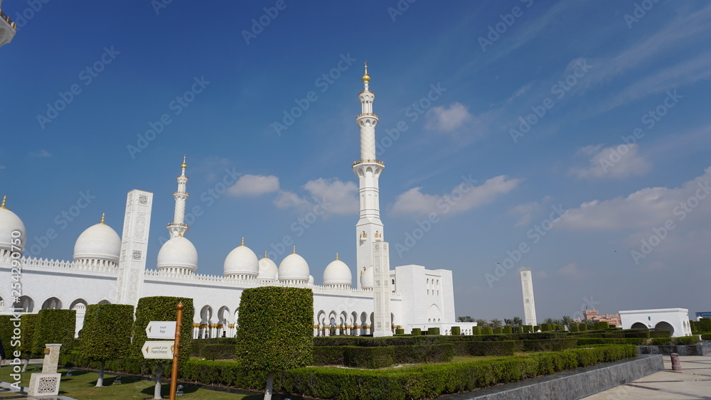 mosque in dhabi