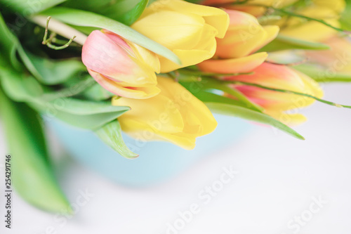 Spring flowers yellow tulips on a white background