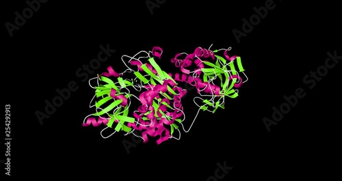 protein model revolving colorful proteins DNA viral protein chain photo