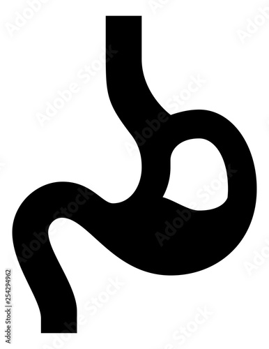 Human Stomach Vector Icon