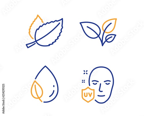 Leaves, Leaf dew and Mint leaves icons simple set. Uv protection sign. Grow plant, Water drop, Mentha herbal. Ultraviolet. Healthcare set. Linear leaves icon. Colorful design set. Vector