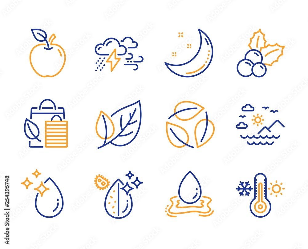 Leaf, Bad weather and Bio shopping icons simple set. Sea mountains, Christmas holly and Water drop signs. Apple, Water splash and Moon stars symbols. Leaves, Thermometer. Ecology, Clouds. Vector