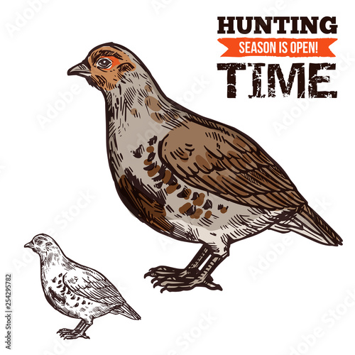 Obraz na plátne Grouse wild forest bird, hunting season prey