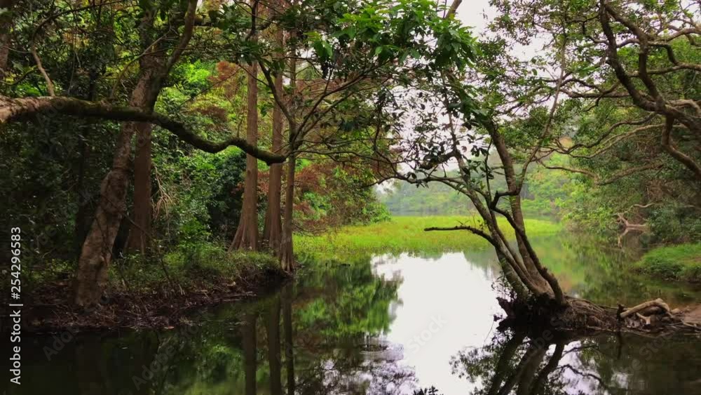 a left to right shot of a reflection pool of water, include trees on both sides a left to right shot of a reflection pool of water, include trees on both sides