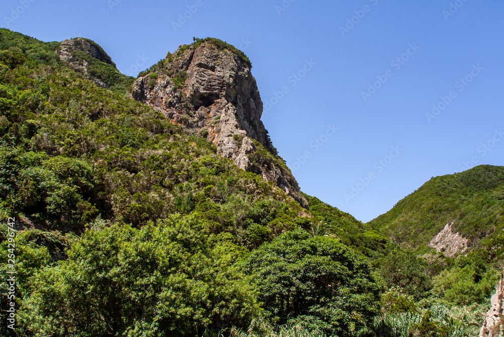 big view over forest valley to a big rock