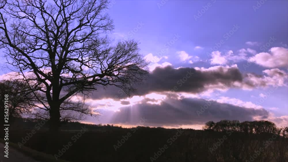 Leicestershire English Countryside Sun Beaming through Clouds near Winter Tree